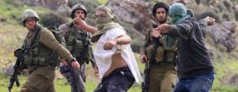 مستوطنون يعتدون بالضرب على مزارع جنوب بيت لحم