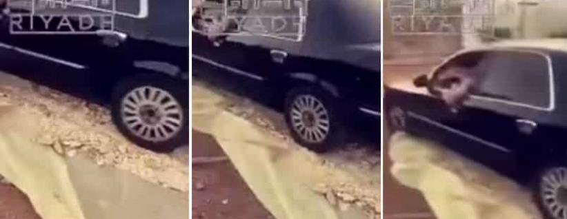 بالفيديو| شاب يدهس الخبز بسيارته يثير استياء المعلقين