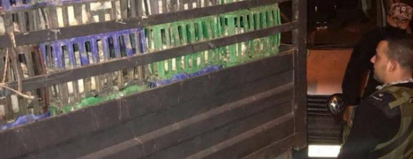 ضبط طن ونص دجاج مهرب من إسرائيل بمحافظة الخليل