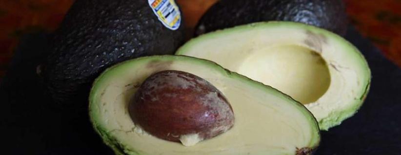 أطعمة شائعة تحمي الدماغ وتقوي الذاكرة