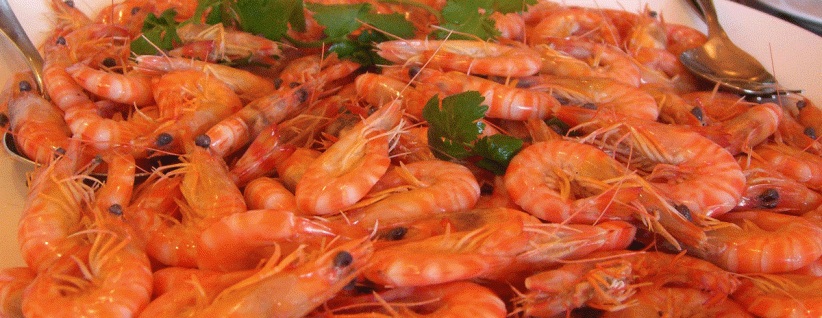 المأكولات البحرية لذيذة ومغذية.. وضارة للبعض