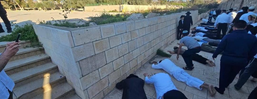 مستعمرون يقتحمون الأقصى ويؤدون السجود الملحمي