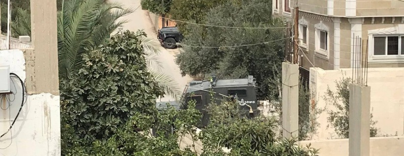 الاحتلال يداهم منتزه في ضاحية شويكة شمال طولكرم ويستولي على حيوانات برية