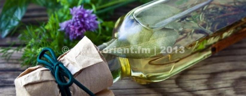 نبتة إكليل الجبل (روزماري)...لعلاج العديد من الأمراض
