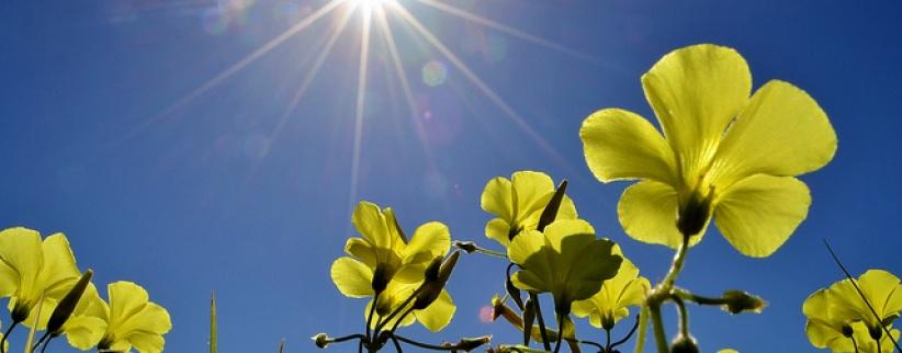 حالة الطقس لليوم الجمعة 24-5-2013