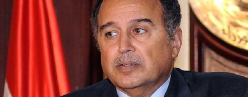 وزير الخارجية المصري: سكان غزة في عيوننا وليس من ينتهك سيادتنا