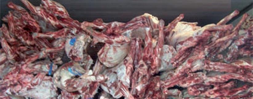 ضبط نصف طن لحم دجاج فاسد برام الله