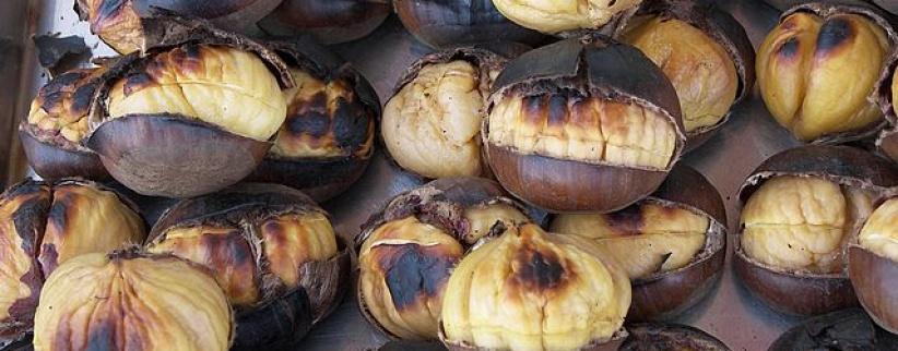 الكستناء غذاء الموسم تعرف على قيمته الغذائية