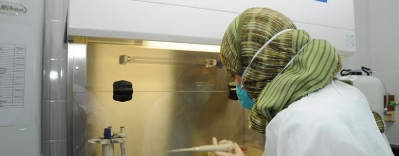 الصحة تؤكد جاهزيتها لمواجهة 