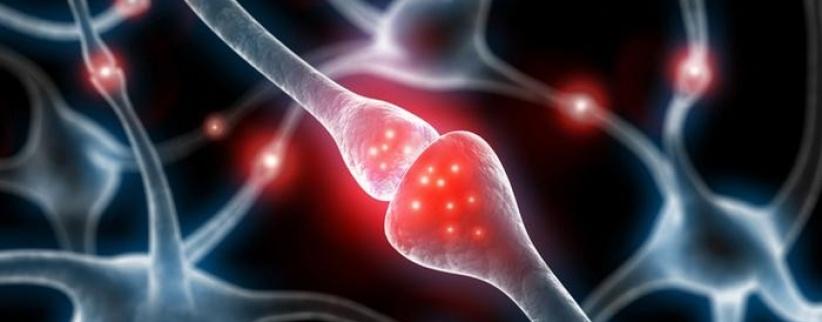 دراسة: كثرة الجلوس تقلل معدل الذكاء وتضر بالمخ