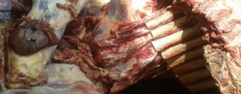 إصابة شرطي إسرائيلي في عملية دهس بالخليل