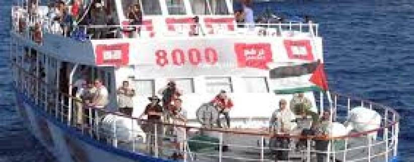 حملة إلكترونية لحماية أسطول الحرية