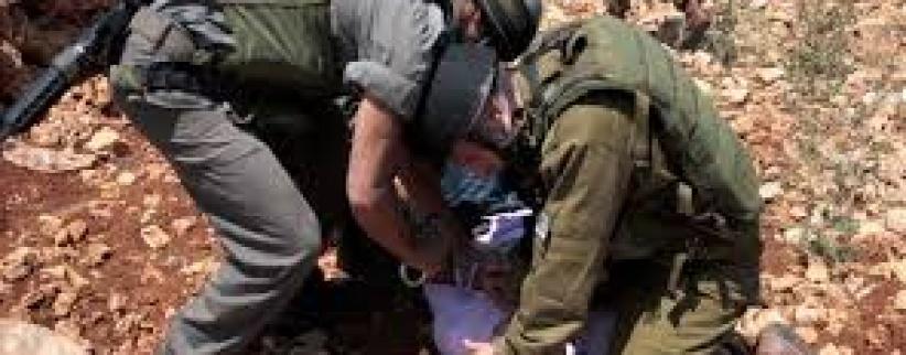 قوات الاحتلال تعتقل فتيين جنوب الخليل