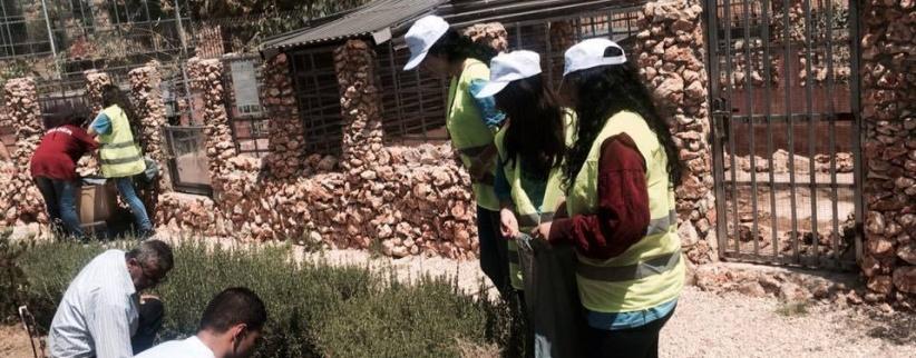 بالصور| نشاط تطوعي لشبيبة الطالبة المسيحية والمجلس الشبابي في بيت ساحور