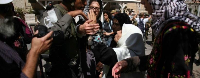 الاحتلال يعتقل طبيبة من الخليل