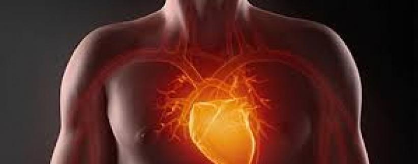 فوائد الصيام على أمراض القلب والأوعية الدموية