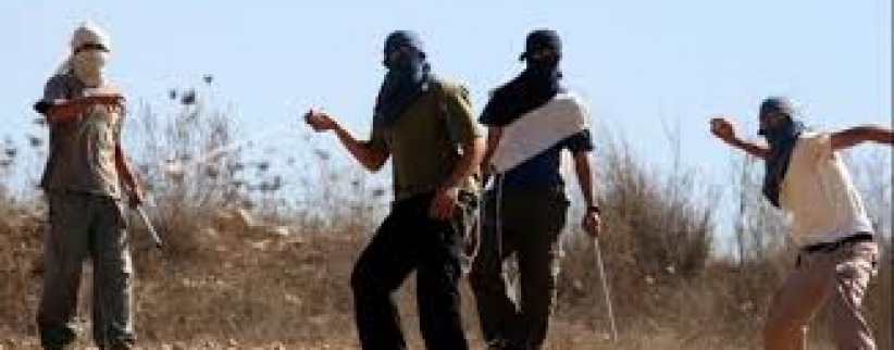 مستوطنون يهاجمون المركبات بالحجارة ويعربدون جنوب جنين