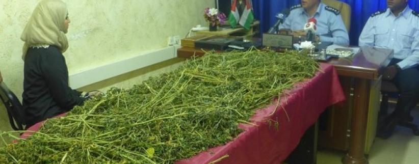 وقائي الخليل يضبط 10 كغم مخدرات