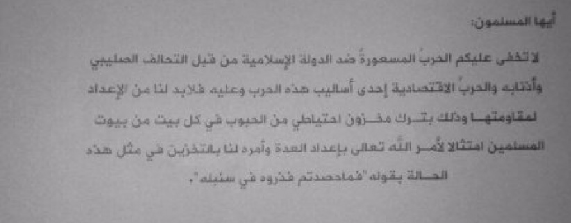 8 دواوين تدير خلافة داعش