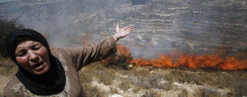 مستوطنون يحرقون أشجار زيتون غرب بيت لحم