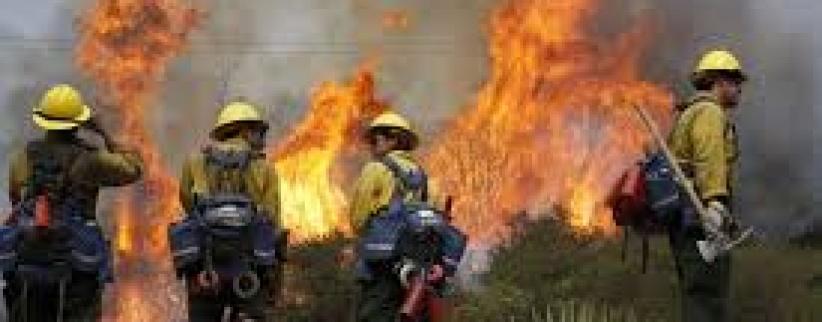 إخماد حريق في منطقة جبلية غرب الخليل