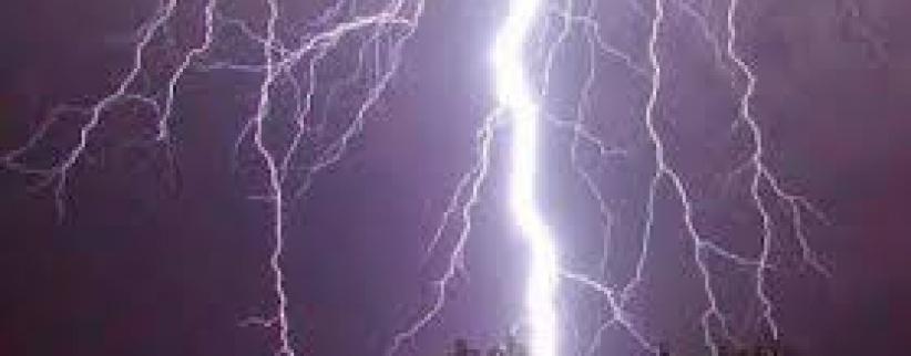 اراد التقاط 