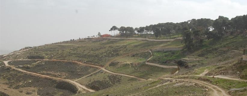 مصادرة 740 دونما من أراضي العيسوية والطور