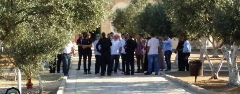 تشديدات على أبواب الأقصى و52 مستوطنًا يقتحمونه