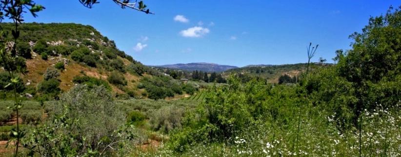 حالة الطقس- توالي ارتفاع درجات الحرارة خلال اليومين المقبلين