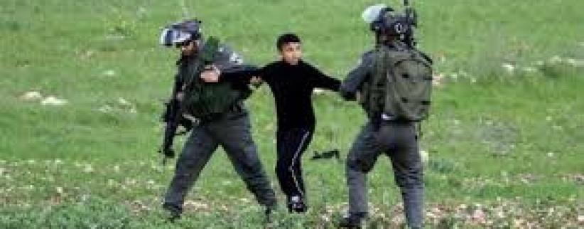 الاحتلال يعتقل طفلا ووالده أثناء قطفهما الزيتون شرق قلقيلية