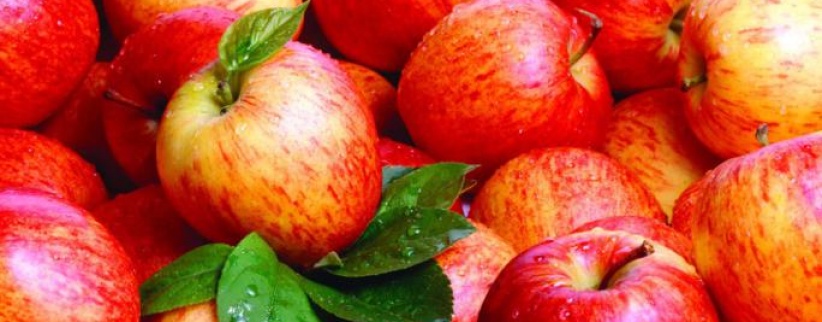 التغذية الصحية مهمة لمرضى السكري