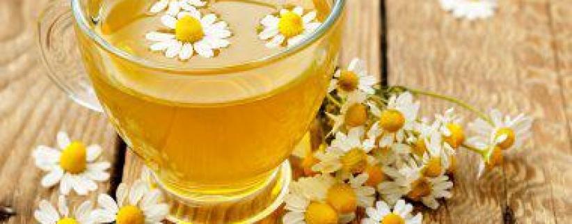 فوائد البابونج منها علاج التهابات المفاصل ومكافحة السرطان