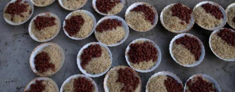 طبق واحد يكشف 