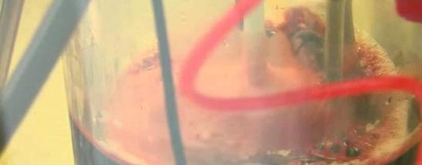 فيديو- علماء روس.. الدم البديل أصبح حقيقة