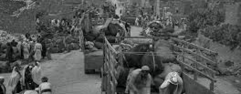 69 سنة على مجزرة الاحتلال في قرية الدوايمة