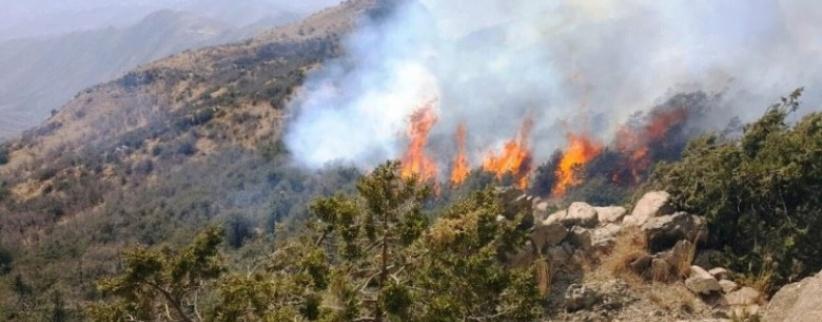 حريق ضخم يلتهم 900 دونم من جبال القدس