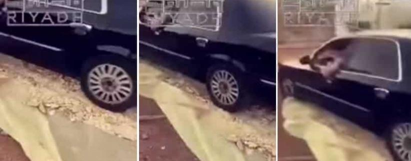 بالفيديو| شاب يدهس الخبز بسيارته يثير استياء المعلقين