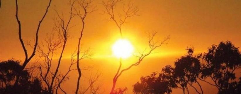 الحرارة تواصل الارتفاع