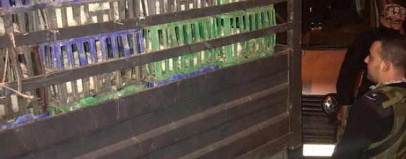 ضبط طن ونص دجاج مهرب من إسرائيل بمحافظة الخليل