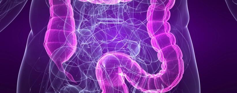 تناول الخضراوات يقلل احتمال الوفاة بسرطان القولون