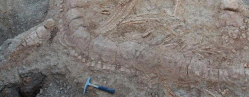 اكتشاف بقايا وحش عاش بالهند قبل 150 مليون سنة