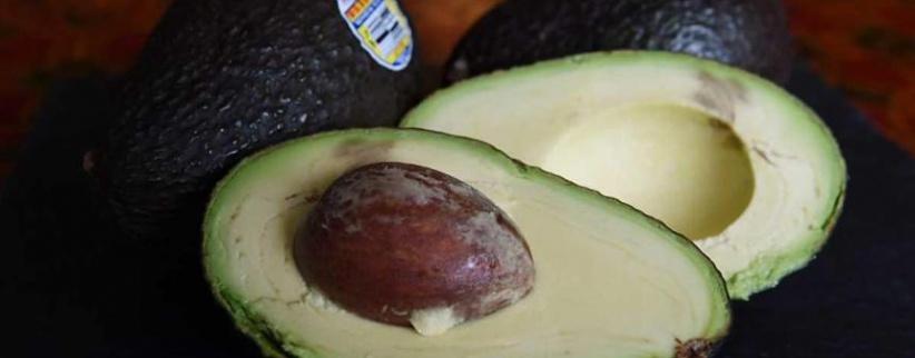 أطعمة شائعة تحمي الدماغ وتقوي الذاكرة