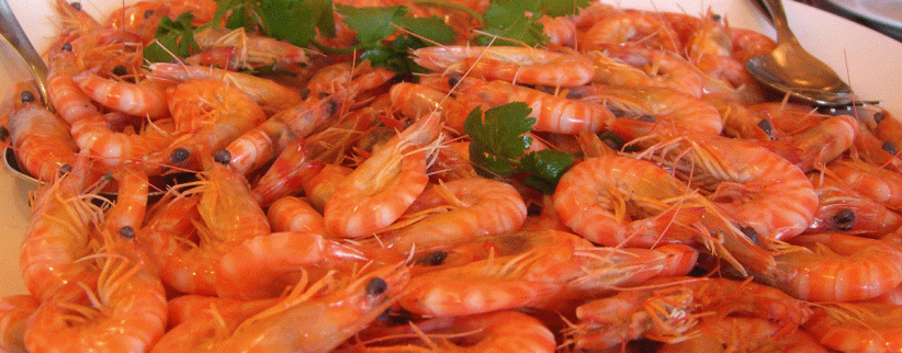 المأكولات البحرية لذيذة ومغذية.. وضارة للبعض