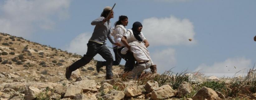 إصابتان باعتداء مستعمرين واعتقال 7 مواطنين في مسافر يطا