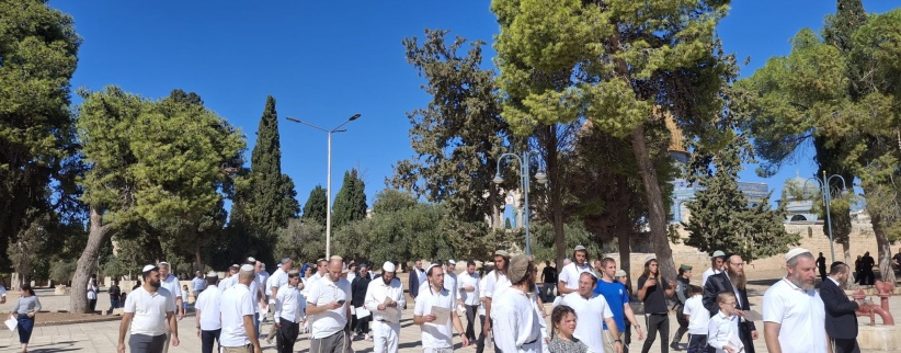 (محدث) 1271 مستعمرا يقتحمون المسجد الأقصى المبارك