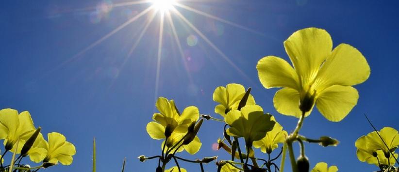 حالة الطقس لليوم الجمعة 24-5-2013