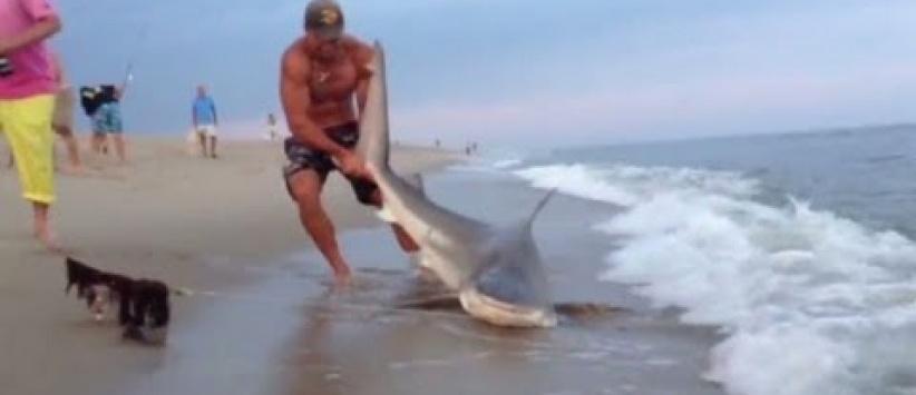 [بالفيديو].. شاب أمريكي يصطاد سمكة قرش بيديه العاريتين