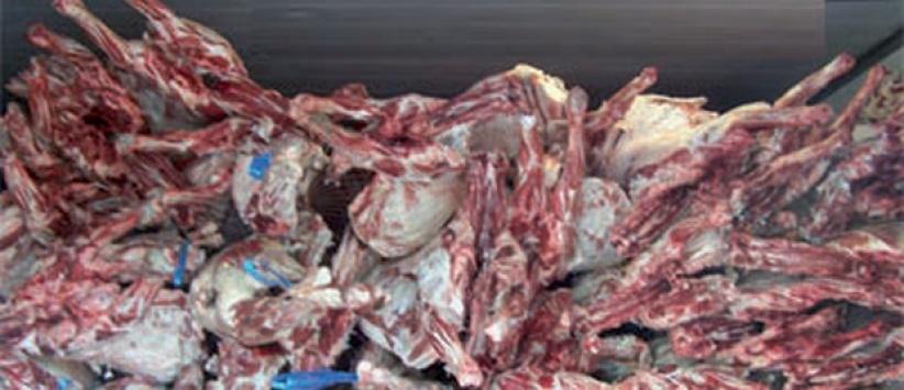 ضبط نصف طن لحم دجاج فاسد برام الله