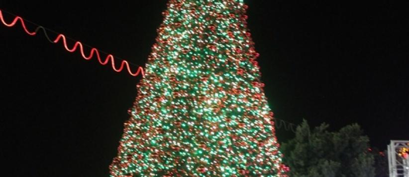 هكذا أضاءت بيت لحم شجرة الميلاد