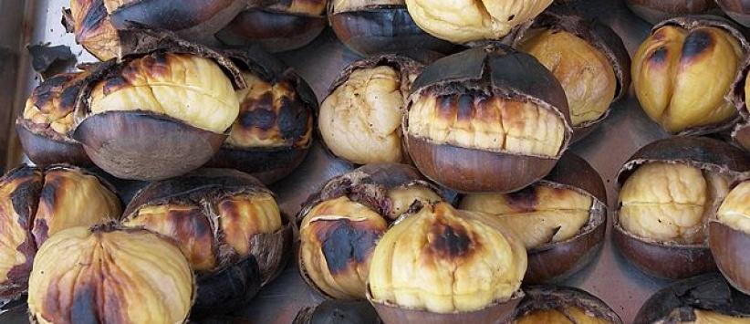 الكستناء غذاء الموسم تعرف على قيمته الغذائية